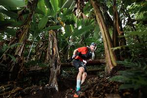 BIB: 
                            <button type="button" onclick="openModal(22394028)" class="btn btn-primary btn-sm float-right btn-popup" data-toggle="modal" data-target=".modal-high-quality">
                        <i class="fas fa-shopping-cart"></i> Add to Cart
                    </button>
                                            <button type="button" onclick="isThisMe(22394028, true)" class="btn btn-success btn-sm float-right btn-popup btn-isme hidden" data-toggle="tooltip" data-placement="bottom" title="นี่คือรูปของคุณใช่ไหม คลิกที่นี่เพื่อเอาเข้าอัลบั้ม">
                        <i class="fas fa-plus"></i> Add to album
                    </button>
                    <button type="button" onclick="isThisMe(22394028, false)" class="btn btn-warning btn-sm float-right btn-popup btn-isnotme hidden">
                        <i class="fas fa-ban"></i> Remove from album
                    </button>