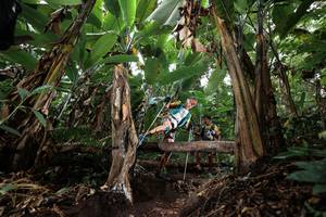 BIB: 
                            <button type="button" onclick="openModal(22417323)" class="btn btn-primary btn-sm float-right btn-popup" data-toggle="modal" data-target=".modal-high-quality">
                        <i class="fas fa-shopping-cart"></i> Add to Cart
                    </button>
                                            <button type="button" onclick="isThisMe(22417323, true)" class="btn btn-success btn-sm float-right btn-popup btn-isme hidden" data-toggle="tooltip" data-placement="bottom" title="นี่คือรูปของคุณใช่ไหม คลิกที่นี่เพื่อเอาเข้าอัลบั้ม">
                        <i class="fas fa-plus"></i> Add to album
                    </button>
                    <button type="button" onclick="isThisMe(22417323, false)" class="btn btn-warning btn-sm float-right btn-popup btn-isnotme hidden">
                        <i class="fas fa-ban"></i> Remove from album
                    </button>