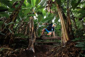 BIB: 
                            <button type="button" onclick="openModal(22416835)" class="btn btn-primary btn-sm float-right btn-popup" data-toggle="modal" data-target=".modal-high-quality">
                        <i class="fas fa-shopping-cart"></i> Add to Cart
                    </button>
                                            <button type="button" onclick="isThisMe(22416835, true)" class="btn btn-success btn-sm float-right btn-popup btn-isme hidden" data-toggle="tooltip" data-placement="bottom" title="นี่คือรูปของคุณใช่ไหม คลิกที่นี่เพื่อเอาเข้าอัลบั้ม">
                        <i class="fas fa-plus"></i> Add to album
                    </button>
                    <button type="button" onclick="isThisMe(22416835, false)" class="btn btn-warning btn-sm float-right btn-popup btn-isnotme hidden">
                        <i class="fas fa-ban"></i> Remove from album
                    </button>