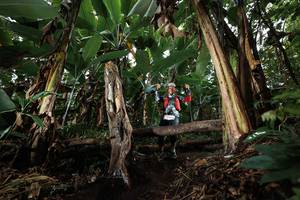 BIB: 
                            <button type="button" onclick="openModal(22420097)" class="btn btn-primary btn-sm float-right btn-popup" data-toggle="modal" data-target=".modal-high-quality">
                        <i class="fas fa-shopping-cart"></i> Add to Cart
                    </button>
                                            <button type="button" onclick="isThisMe(22420097, true)" class="btn btn-success btn-sm float-right btn-popup btn-isme hidden" data-toggle="tooltip" data-placement="bottom" title="นี่คือรูปของคุณใช่ไหม คลิกที่นี่เพื่อเอาเข้าอัลบั้ม">
                        <i class="fas fa-plus"></i> Add to album
                    </button>
                    <button type="button" onclick="isThisMe(22420097, false)" class="btn btn-warning btn-sm float-right btn-popup btn-isnotme hidden">
                        <i class="fas fa-ban"></i> Remove from album
                    </button>