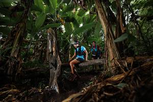 BIB: 
                            <button type="button" onclick="openModal(22387767)" class="btn btn-primary btn-sm float-right btn-popup" data-toggle="modal" data-target=".modal-high-quality">
                        <i class="fas fa-shopping-cart"></i> Add to Cart
                    </button>
                                            <button type="button" onclick="isThisMe(22387767, true)" class="btn btn-success btn-sm float-right btn-popup btn-isme hidden" data-toggle="tooltip" data-placement="bottom" title="นี่คือรูปของคุณใช่ไหม คลิกที่นี่เพื่อเอาเข้าอัลบั้ม">
                        <i class="fas fa-plus"></i> Add to album
                    </button>
                    <button type="button" onclick="isThisMe(22387767, false)" class="btn btn-warning btn-sm float-right btn-popup btn-isnotme hidden">
                        <i class="fas fa-ban"></i> Remove from album
                    </button>