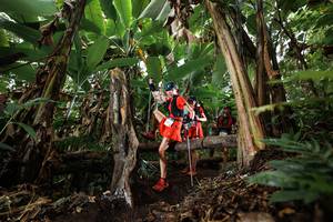 BIB: 
                            <button type="button" onclick="openModal(22394398)" class="btn btn-primary btn-sm float-right btn-popup" data-toggle="modal" data-target=".modal-high-quality">
                        <i class="fas fa-shopping-cart"></i> Add to Cart
                    </button>
                                            <button type="button" onclick="isThisMe(22394398, true)" class="btn btn-success btn-sm float-right btn-popup btn-isme hidden" data-toggle="tooltip" data-placement="bottom" title="นี่คือรูปของคุณใช่ไหม คลิกที่นี่เพื่อเอาเข้าอัลบั้ม">
                        <i class="fas fa-plus"></i> Add to album
                    </button>
                    <button type="button" onclick="isThisMe(22394398, false)" class="btn btn-warning btn-sm float-right btn-popup btn-isnotme hidden">
                        <i class="fas fa-ban"></i> Remove from album
                    </button>