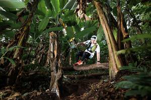 BIB: 
                            <button type="button" onclick="openModal(22400486)" class="btn btn-primary btn-sm float-right btn-popup" data-toggle="modal" data-target=".modal-high-quality">
                        <i class="fas fa-shopping-cart"></i> Add to Cart
                    </button>
                                            <button type="button" onclick="isThisMe(22400486, true)" class="btn btn-success btn-sm float-right btn-popup btn-isme hidden" data-toggle="tooltip" data-placement="bottom" title="นี่คือรูปของคุณใช่ไหม คลิกที่นี่เพื่อเอาเข้าอัลบั้ม">
                        <i class="fas fa-plus"></i> Add to album
                    </button>
                    <button type="button" onclick="isThisMe(22400486, false)" class="btn btn-warning btn-sm float-right btn-popup btn-isnotme hidden">
                        <i class="fas fa-ban"></i> Remove from album
                    </button>