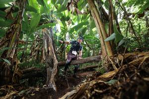 BIB: 
                            <button type="button" onclick="openModal(22392691)" class="btn btn-primary btn-sm float-right btn-popup" data-toggle="modal" data-target=".modal-high-quality">
                        <i class="fas fa-shopping-cart"></i> Add to Cart
                    </button>
                                            <button type="button" onclick="isThisMe(22392691, true)" class="btn btn-success btn-sm float-right btn-popup btn-isme hidden" data-toggle="tooltip" data-placement="bottom" title="นี่คือรูปของคุณใช่ไหม คลิกที่นี่เพื่อเอาเข้าอัลบั้ม">
                        <i class="fas fa-plus"></i> Add to album
                    </button>
                    <button type="button" onclick="isThisMe(22392691, false)" class="btn btn-warning btn-sm float-right btn-popup btn-isnotme hidden">
                        <i class="fas fa-ban"></i> Remove from album
                    </button>