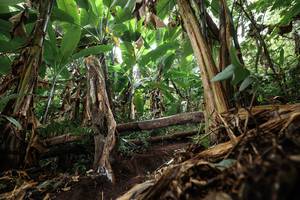 BIB: 
                            <button type="button" onclick="openModal(22392685)" class="btn btn-primary btn-sm float-right btn-popup" data-toggle="modal" data-target=".modal-high-quality">
                        <i class="fas fa-shopping-cart"></i> Add to Cart
                    </button>
                                            <button type="button" onclick="isThisMe(22392685, true)" class="btn btn-success btn-sm float-right btn-popup btn-isme hidden" data-toggle="tooltip" data-placement="bottom" title="นี่คือรูปของคุณใช่ไหม คลิกที่นี่เพื่อเอาเข้าอัลบั้ม">
                        <i class="fas fa-plus"></i> Add to album
                    </button>
                    <button type="button" onclick="isThisMe(22392685, false)" class="btn btn-warning btn-sm float-right btn-popup btn-isnotme hidden">
                        <i class="fas fa-ban"></i> Remove from album
                    </button>