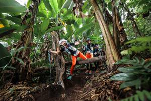 BIB: 
                            <button type="button" onclick="openModal(22415346)" class="btn btn-primary btn-sm float-right btn-popup" data-toggle="modal" data-target=".modal-high-quality">
                        <i class="fas fa-shopping-cart"></i> Add to Cart
                    </button>
                                            <button type="button" onclick="isThisMe(22415346, true)" class="btn btn-success btn-sm float-right btn-popup btn-isme hidden" data-toggle="tooltip" data-placement="bottom" title="นี่คือรูปของคุณใช่ไหม คลิกที่นี่เพื่อเอาเข้าอัลบั้ม">
                        <i class="fas fa-plus"></i> Add to album
                    </button>
                    <button type="button" onclick="isThisMe(22415346, false)" class="btn btn-warning btn-sm float-right btn-popup btn-isnotme hidden">
                        <i class="fas fa-ban"></i> Remove from album
                    </button>