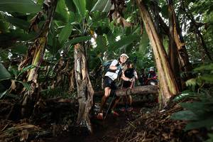 BIB: 
                            <button type="button" onclick="openModal(22419585)" class="btn btn-primary btn-sm float-right btn-popup" data-toggle="modal" data-target=".modal-high-quality">
                        <i class="fas fa-shopping-cart"></i> Add to Cart
                    </button>
                                            <button type="button" onclick="isThisMe(22419585, true)" class="btn btn-success btn-sm float-right btn-popup btn-isme hidden" data-toggle="tooltip" data-placement="bottom" title="นี่คือรูปของคุณใช่ไหม คลิกที่นี่เพื่อเอาเข้าอัลบั้ม">
                        <i class="fas fa-plus"></i> Add to album
                    </button>
                    <button type="button" onclick="isThisMe(22419585, false)" class="btn btn-warning btn-sm float-right btn-popup btn-isnotme hidden">
                        <i class="fas fa-ban"></i> Remove from album
                    </button>