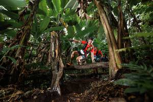 BIB: 
                            <button type="button" onclick="openModal(22394596)" class="btn btn-primary btn-sm float-right btn-popup" data-toggle="modal" data-target=".modal-high-quality">
                        <i class="fas fa-shopping-cart"></i> Add to Cart
                    </button>
                                            <button type="button" onclick="isThisMe(22394596, true)" class="btn btn-success btn-sm float-right btn-popup btn-isme hidden" data-toggle="tooltip" data-placement="bottom" title="นี่คือรูปของคุณใช่ไหม คลิกที่นี่เพื่อเอาเข้าอัลบั้ม">
                        <i class="fas fa-plus"></i> Add to album
                    </button>
                    <button type="button" onclick="isThisMe(22394596, false)" class="btn btn-warning btn-sm float-right btn-popup btn-isnotme hidden">
                        <i class="fas fa-ban"></i> Remove from album
                    </button>