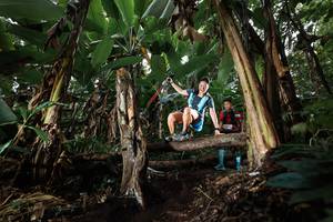 BIB: 
                            <button type="button" onclick="openModal(22420209)" class="btn btn-primary btn-sm float-right btn-popup" data-toggle="modal" data-target=".modal-high-quality">
                        <i class="fas fa-shopping-cart"></i> Add to Cart
                    </button>
                                            <button type="button" onclick="isThisMe(22420209, true)" class="btn btn-success btn-sm float-right btn-popup btn-isme hidden" data-toggle="tooltip" data-placement="bottom" title="นี่คือรูปของคุณใช่ไหม คลิกที่นี่เพื่อเอาเข้าอัลบั้ม">
                        <i class="fas fa-plus"></i> Add to album
                    </button>
                    <button type="button" onclick="isThisMe(22420209, false)" class="btn btn-warning btn-sm float-right btn-popup btn-isnotme hidden">
                        <i class="fas fa-ban"></i> Remove from album
                    </button>