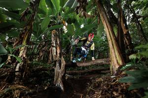 BIB: 
                            <button type="button" onclick="openModal(22421150)" class="btn btn-primary btn-sm float-right btn-popup" data-toggle="modal" data-target=".modal-high-quality">
                        <i class="fas fa-shopping-cart"></i> Add to Cart
                    </button>
                                            <button type="button" onclick="isThisMe(22421150, true)" class="btn btn-success btn-sm float-right btn-popup btn-isme hidden" data-toggle="tooltip" data-placement="bottom" title="นี่คือรูปของคุณใช่ไหม คลิกที่นี่เพื่อเอาเข้าอัลบั้ม">
                        <i class="fas fa-plus"></i> Add to album
                    </button>
                    <button type="button" onclick="isThisMe(22421150, false)" class="btn btn-warning btn-sm float-right btn-popup btn-isnotme hidden">
                        <i class="fas fa-ban"></i> Remove from album
                    </button>