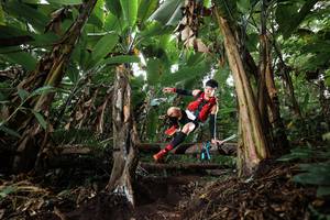 BIB: 
                            <button type="button" onclick="openModal(22417830)" class="btn btn-primary btn-sm float-right btn-popup" data-toggle="modal" data-target=".modal-high-quality">
                        <i class="fas fa-shopping-cart"></i> Add to Cart
                    </button>
                                            <button type="button" onclick="isThisMe(22417830, true)" class="btn btn-success btn-sm float-right btn-popup btn-isme hidden" data-toggle="tooltip" data-placement="bottom" title="นี่คือรูปของคุณใช่ไหม คลิกที่นี่เพื่อเอาเข้าอัลบั้ม">
                        <i class="fas fa-plus"></i> Add to album
                    </button>
                    <button type="button" onclick="isThisMe(22417830, false)" class="btn btn-warning btn-sm float-right btn-popup btn-isnotme hidden">
                        <i class="fas fa-ban"></i> Remove from album
                    </button>