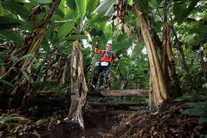 BIB: 
                            <button type="button" onclick="openModal(22417493)" class="btn btn-primary btn-sm float-right btn-popup" data-toggle="modal" data-target=".modal-high-quality">
                        <i class="fas fa-shopping-cart"></i> Add to Cart
                    </button>
                                            <button type="button" onclick="isThisMe(22417493, true)" class="btn btn-success btn-sm float-right btn-popup btn-isme hidden" data-toggle="tooltip" data-placement="bottom" title="นี่คือรูปของคุณใช่ไหม คลิกที่นี่เพื่อเอาเข้าอัลบั้ม">
                        <i class="fas fa-plus"></i> Add to album
                    </button>
                    <button type="button" onclick="isThisMe(22417493, false)" class="btn btn-warning btn-sm float-right btn-popup btn-isnotme hidden">
                        <i class="fas fa-ban"></i> Remove from album
                    </button>