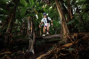 BIB: 2013
                            <button type="button" onclick="openModal(22387662)" class="btn btn-primary btn-sm float-right btn-popup" data-toggle="modal" data-target=".modal-high-quality">
                        <i class="fas fa-shopping-cart"></i> Add to Cart
                    </button>
                                            <button type="button" onclick="isThisMe(22387662, true)" class="btn btn-success btn-sm float-right btn-popup btn-isme hidden" data-toggle="tooltip" data-placement="bottom" title="นี่คือรูปของคุณใช่ไหม คลิกที่นี่เพื่อเอาเข้าอัลบั้ม">
                        <i class="fas fa-plus"></i> Add to album
                    </button>
                    <button type="button" onclick="isThisMe(22387662, false)" class="btn btn-warning btn-sm float-right btn-popup btn-isnotme hidden">
                        <i class="fas fa-ban"></i> Remove from album
                    </button>