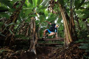 BIB: 
                            <button type="button" onclick="openModal(22416845)" class="btn btn-primary btn-sm float-right btn-popup" data-toggle="modal" data-target=".modal-high-quality">
                        <i class="fas fa-shopping-cart"></i> Add to Cart
                    </button>
                                            <button type="button" onclick="isThisMe(22416845, true)" class="btn btn-success btn-sm float-right btn-popup btn-isme hidden" data-toggle="tooltip" data-placement="bottom" title="นี่คือรูปของคุณใช่ไหม คลิกที่นี่เพื่อเอาเข้าอัลบั้ม">
                        <i class="fas fa-plus"></i> Add to album
                    </button>
                    <button type="button" onclick="isThisMe(22416845, false)" class="btn btn-warning btn-sm float-right btn-popup btn-isnotme hidden">
                        <i class="fas fa-ban"></i> Remove from album
                    </button>