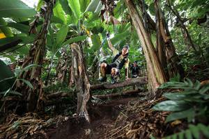 BIB: 
                            <button type="button" onclick="openModal(22415209)" class="btn btn-primary btn-sm float-right btn-popup" data-toggle="modal" data-target=".modal-high-quality">
                        <i class="fas fa-shopping-cart"></i> Add to Cart
                    </button>
                                            <button type="button" onclick="isThisMe(22415209, true)" class="btn btn-success btn-sm float-right btn-popup btn-isme hidden" data-toggle="tooltip" data-placement="bottom" title="นี่คือรูปของคุณใช่ไหม คลิกที่นี่เพื่อเอาเข้าอัลบั้ม">
                        <i class="fas fa-plus"></i> Add to album
                    </button>
                    <button type="button" onclick="isThisMe(22415209, false)" class="btn btn-warning btn-sm float-right btn-popup btn-isnotme hidden">
                        <i class="fas fa-ban"></i> Remove from album
                    </button>