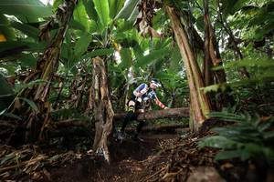 BIB: 
                            <button type="button" onclick="openModal(22398893)" class="btn btn-primary btn-sm float-right btn-popup" data-toggle="modal" data-target=".modal-high-quality">
                        <i class="fas fa-shopping-cart"></i> Add to Cart
                    </button>
                                            <button type="button" onclick="isThisMe(22398893, true)" class="btn btn-success btn-sm float-right btn-popup btn-isme hidden" data-toggle="tooltip" data-placement="bottom" title="นี่คือรูปของคุณใช่ไหม คลิกที่นี่เพื่อเอาเข้าอัลบั้ม">
                        <i class="fas fa-plus"></i> Add to album
                    </button>
                    <button type="button" onclick="isThisMe(22398893, false)" class="btn btn-warning btn-sm float-right btn-popup btn-isnotme hidden">
                        <i class="fas fa-ban"></i> Remove from album
                    </button>