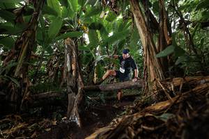 BIB: 
                            <button type="button" onclick="openModal(22389976)" class="btn btn-primary btn-sm float-right btn-popup" data-toggle="modal" data-target=".modal-high-quality">
                        <i class="fas fa-shopping-cart"></i> Add to Cart
                    </button>
                                            <button type="button" onclick="isThisMe(22389976, true)" class="btn btn-success btn-sm float-right btn-popup btn-isme hidden" data-toggle="tooltip" data-placement="bottom" title="นี่คือรูปของคุณใช่ไหม คลิกที่นี่เพื่อเอาเข้าอัลบั้ม">
                        <i class="fas fa-plus"></i> Add to album
                    </button>
                    <button type="button" onclick="isThisMe(22389976, false)" class="btn btn-warning btn-sm float-right btn-popup btn-isnotme hidden">
                        <i class="fas fa-ban"></i> Remove from album
                    </button>