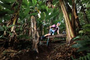 BIB: 
                            <button type="button" onclick="openModal(22418474)" class="btn btn-primary btn-sm float-right btn-popup" data-toggle="modal" data-target=".modal-high-quality">
                        <i class="fas fa-shopping-cart"></i> Add to Cart
                    </button>
                                            <button type="button" onclick="isThisMe(22418474, true)" class="btn btn-success btn-sm float-right btn-popup btn-isme hidden" data-toggle="tooltip" data-placement="bottom" title="นี่คือรูปของคุณใช่ไหม คลิกที่นี่เพื่อเอาเข้าอัลบั้ม">
                        <i class="fas fa-plus"></i> Add to album
                    </button>
                    <button type="button" onclick="isThisMe(22418474, false)" class="btn btn-warning btn-sm float-right btn-popup btn-isnotme hidden">
                        <i class="fas fa-ban"></i> Remove from album
                    </button>