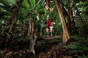 BIB: 
                            <button type="button" onclick="openModal(22393854)" class="btn btn-primary btn-sm float-right btn-popup" data-toggle="modal" data-target=".modal-high-quality">
                        <i class="fas fa-shopping-cart"></i> Add to Cart
                    </button>
                                            <button type="button" onclick="isThisMe(22393854, true)" class="btn btn-success btn-sm float-right btn-popup btn-isme hidden" data-toggle="tooltip" data-placement="bottom" title="นี่คือรูปของคุณใช่ไหม คลิกที่นี่เพื่อเอาเข้าอัลบั้ม">
                        <i class="fas fa-plus"></i> Add to album
                    </button>
                    <button type="button" onclick="isThisMe(22393854, false)" class="btn btn-warning btn-sm float-right btn-popup btn-isnotme hidden">
                        <i class="fas fa-ban"></i> Remove from album
                    </button>