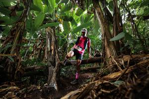 BIB: 
                            <button type="button" onclick="openModal(22388578)" class="btn btn-primary btn-sm float-right btn-popup" data-toggle="modal" data-target=".modal-high-quality">
                        <i class="fas fa-shopping-cart"></i> Add to Cart
                    </button>
                                            <button type="button" onclick="isThisMe(22388578, true)" class="btn btn-success btn-sm float-right btn-popup btn-isme hidden" data-toggle="tooltip" data-placement="bottom" title="นี่คือรูปของคุณใช่ไหม คลิกที่นี่เพื่อเอาเข้าอัลบั้ม">
                        <i class="fas fa-plus"></i> Add to album
                    </button>
                    <button type="button" onclick="isThisMe(22388578, false)" class="btn btn-warning btn-sm float-right btn-popup btn-isnotme hidden">
                        <i class="fas fa-ban"></i> Remove from album
                    </button>