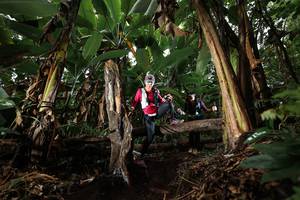 BIB: 
                            <button type="button" onclick="openModal(22422265)" class="btn btn-primary btn-sm float-right btn-popup" data-toggle="modal" data-target=".modal-high-quality">
                        <i class="fas fa-shopping-cart"></i> Add to Cart
                    </button>
                                            <button type="button" onclick="isThisMe(22422265, true)" class="btn btn-success btn-sm float-right btn-popup btn-isme hidden" data-toggle="tooltip" data-placement="bottom" title="นี่คือรูปของคุณใช่ไหม คลิกที่นี่เพื่อเอาเข้าอัลบั้ม">
                        <i class="fas fa-plus"></i> Add to album
                    </button>
                    <button type="button" onclick="isThisMe(22422265, false)" class="btn btn-warning btn-sm float-right btn-popup btn-isnotme hidden">
                        <i class="fas fa-ban"></i> Remove from album
                    </button>