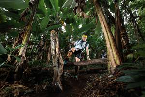 BIB: 
                            <button type="button" onclick="openModal(22419700)" class="btn btn-primary btn-sm float-right btn-popup" data-toggle="modal" data-target=".modal-high-quality">
                        <i class="fas fa-shopping-cart"></i> Add to Cart
                    </button>
                                            <button type="button" onclick="isThisMe(22419700, true)" class="btn btn-success btn-sm float-right btn-popup btn-isme hidden" data-toggle="tooltip" data-placement="bottom" title="นี่คือรูปของคุณใช่ไหม คลิกที่นี่เพื่อเอาเข้าอัลบั้ม">
                        <i class="fas fa-plus"></i> Add to album
                    </button>
                    <button type="button" onclick="isThisMe(22419700, false)" class="btn btn-warning btn-sm float-right btn-popup btn-isnotme hidden">
                        <i class="fas fa-ban"></i> Remove from album
                    </button>