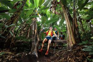 BIB: 
                            <button type="button" onclick="openModal(22416361)" class="btn btn-primary btn-sm float-right btn-popup" data-toggle="modal" data-target=".modal-high-quality">
                        <i class="fas fa-shopping-cart"></i> Add to Cart
                    </button>
                                            <button type="button" onclick="isThisMe(22416361, true)" class="btn btn-success btn-sm float-right btn-popup btn-isme hidden" data-toggle="tooltip" data-placement="bottom" title="นี่คือรูปของคุณใช่ไหม คลิกที่นี่เพื่อเอาเข้าอัลบั้ม">
                        <i class="fas fa-plus"></i> Add to album
                    </button>
                    <button type="button" onclick="isThisMe(22416361, false)" class="btn btn-warning btn-sm float-right btn-popup btn-isnotme hidden">
                        <i class="fas fa-ban"></i> Remove from album
                    </button>