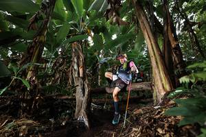 BIB: 
                            <button type="button" onclick="openModal(22420314)" class="btn btn-primary btn-sm float-right btn-popup" data-toggle="modal" data-target=".modal-high-quality">
                        <i class="fas fa-shopping-cart"></i> Add to Cart
                    </button>
                                            <button type="button" onclick="isThisMe(22420314, true)" class="btn btn-success btn-sm float-right btn-popup btn-isme hidden" data-toggle="tooltip" data-placement="bottom" title="นี่คือรูปของคุณใช่ไหม คลิกที่นี่เพื่อเอาเข้าอัลบั้ม">
                        <i class="fas fa-plus"></i> Add to album
                    </button>
                    <button type="button" onclick="isThisMe(22420314, false)" class="btn btn-warning btn-sm float-right btn-popup btn-isnotme hidden">
                        <i class="fas fa-ban"></i> Remove from album
                    </button>