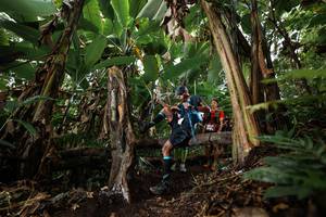 BIB: 
                            <button type="button" onclick="openModal(22394534)" class="btn btn-primary btn-sm float-right btn-popup" data-toggle="modal" data-target=".modal-high-quality">
                        <i class="fas fa-shopping-cart"></i> Add to Cart
                    </button>
                                            <button type="button" onclick="isThisMe(22394534, true)" class="btn btn-success btn-sm float-right btn-popup btn-isme hidden" data-toggle="tooltip" data-placement="bottom" title="นี่คือรูปของคุณใช่ไหม คลิกที่นี่เพื่อเอาเข้าอัลบั้ม">
                        <i class="fas fa-plus"></i> Add to album
                    </button>
                    <button type="button" onclick="isThisMe(22394534, false)" class="btn btn-warning btn-sm float-right btn-popup btn-isnotme hidden">
                        <i class="fas fa-ban"></i> Remove from album
                    </button>