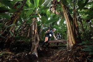 BIB: 
                            <button type="button" onclick="openModal(22417150)" class="btn btn-primary btn-sm float-right btn-popup" data-toggle="modal" data-target=".modal-high-quality">
                        <i class="fas fa-shopping-cart"></i> Add to Cart
                    </button>
                                            <button type="button" onclick="isThisMe(22417150, true)" class="btn btn-success btn-sm float-right btn-popup btn-isme hidden" data-toggle="tooltip" data-placement="bottom" title="นี่คือรูปของคุณใช่ไหม คลิกที่นี่เพื่อเอาเข้าอัลบั้ม">
                        <i class="fas fa-plus"></i> Add to album
                    </button>
                    <button type="button" onclick="isThisMe(22417150, false)" class="btn btn-warning btn-sm float-right btn-popup btn-isnotme hidden">
                        <i class="fas fa-ban"></i> Remove from album
                    </button>