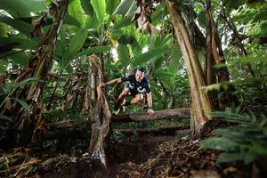 BIB: 
                            <button type="button" onclick="openModal(22397927)" class="btn btn-primary btn-sm float-right btn-popup" data-toggle="modal" data-target=".modal-high-quality">
                        <i class="fas fa-shopping-cart"></i> Add to Cart
                    </button>
                                            <button type="button" onclick="isThisMe(22397927, true)" class="btn btn-success btn-sm float-right btn-popup btn-isme hidden" data-toggle="tooltip" data-placement="bottom" title="นี่คือรูปของคุณใช่ไหม คลิกที่นี่เพื่อเอาเข้าอัลบั้ม">
                        <i class="fas fa-plus"></i> Add to album
                    </button>
                    <button type="button" onclick="isThisMe(22397927, false)" class="btn btn-warning btn-sm float-right btn-popup btn-isnotme hidden">
                        <i class="fas fa-ban"></i> Remove from album
                    </button>