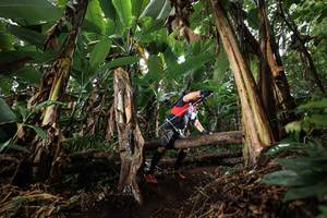 BIB: 
                            <button type="button" onclick="openModal(22418938)" class="btn btn-primary btn-sm float-right btn-popup" data-toggle="modal" data-target=".modal-high-quality">
                        <i class="fas fa-shopping-cart"></i> Add to Cart
                    </button>
                                            <button type="button" onclick="isThisMe(22418938, true)" class="btn btn-success btn-sm float-right btn-popup btn-isme hidden" data-toggle="tooltip" data-placement="bottom" title="นี่คือรูปของคุณใช่ไหม คลิกที่นี่เพื่อเอาเข้าอัลบั้ม">
                        <i class="fas fa-plus"></i> Add to album
                    </button>
                    <button type="button" onclick="isThisMe(22418938, false)" class="btn btn-warning btn-sm float-right btn-popup btn-isnotme hidden">
                        <i class="fas fa-ban"></i> Remove from album
                    </button>