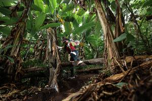 BIB: 
                            <button type="button" onclick="openModal(22389524)" class="btn btn-primary btn-sm float-right btn-popup" data-toggle="modal" data-target=".modal-high-quality">
                        <i class="fas fa-shopping-cart"></i> Add to Cart
                    </button>
                                            <button type="button" onclick="isThisMe(22389524, true)" class="btn btn-success btn-sm float-right btn-popup btn-isme hidden" data-toggle="tooltip" data-placement="bottom" title="นี่คือรูปของคุณใช่ไหม คลิกที่นี่เพื่อเอาเข้าอัลบั้ม">
                        <i class="fas fa-plus"></i> Add to album
                    </button>
                    <button type="button" onclick="isThisMe(22389524, false)" class="btn btn-warning btn-sm float-right btn-popup btn-isnotme hidden">
                        <i class="fas fa-ban"></i> Remove from album
                    </button>