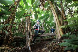 BIB: 
                            <button type="button" onclick="openModal(22402240)" class="btn btn-primary btn-sm float-right btn-popup" data-toggle="modal" data-target=".modal-high-quality">
                        <i class="fas fa-shopping-cart"></i> Add to Cart
                    </button>
                                            <button type="button" onclick="isThisMe(22402240, true)" class="btn btn-success btn-sm float-right btn-popup btn-isme hidden" data-toggle="tooltip" data-placement="bottom" title="นี่คือรูปของคุณใช่ไหม คลิกที่นี่เพื่อเอาเข้าอัลบั้ม">
                        <i class="fas fa-plus"></i> Add to album
                    </button>
                    <button type="button" onclick="isThisMe(22402240, false)" class="btn btn-warning btn-sm float-right btn-popup btn-isnotme hidden">
                        <i class="fas fa-ban"></i> Remove from album
                    </button>