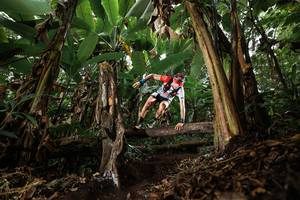 BIB: 
                            <button type="button" onclick="openModal(22393142)" class="btn btn-primary btn-sm float-right btn-popup" data-toggle="modal" data-target=".modal-high-quality">
                        <i class="fas fa-shopping-cart"></i> Add to Cart
                    </button>
                                            <button type="button" onclick="isThisMe(22393142, true)" class="btn btn-success btn-sm float-right btn-popup btn-isme hidden" data-toggle="tooltip" data-placement="bottom" title="นี่คือรูปของคุณใช่ไหม คลิกที่นี่เพื่อเอาเข้าอัลบั้ม">
                        <i class="fas fa-plus"></i> Add to album
                    </button>
                    <button type="button" onclick="isThisMe(22393142, false)" class="btn btn-warning btn-sm float-right btn-popup btn-isnotme hidden">
                        <i class="fas fa-ban"></i> Remove from album
                    </button>