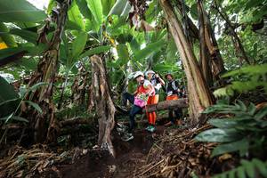 BIB: 
                            <button type="button" onclick="openModal(22415360)" class="btn btn-primary btn-sm float-right btn-popup" data-toggle="modal" data-target=".modal-high-quality">
                        <i class="fas fa-shopping-cart"></i> Add to Cart
                    </button>
                                            <button type="button" onclick="isThisMe(22415360, true)" class="btn btn-success btn-sm float-right btn-popup btn-isme hidden" data-toggle="tooltip" data-placement="bottom" title="นี่คือรูปของคุณใช่ไหม คลิกที่นี่เพื่อเอาเข้าอัลบั้ม">
                        <i class="fas fa-plus"></i> Add to album
                    </button>
                    <button type="button" onclick="isThisMe(22415360, false)" class="btn btn-warning btn-sm float-right btn-popup btn-isnotme hidden">
                        <i class="fas fa-ban"></i> Remove from album
                    </button>