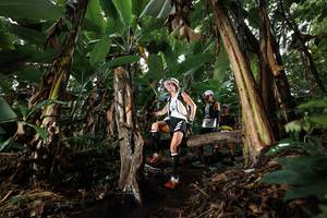 BIB: 
                            <button type="button" onclick="openModal(22420165)" class="btn btn-primary btn-sm float-right btn-popup" data-toggle="modal" data-target=".modal-high-quality">
                        <i class="fas fa-shopping-cart"></i> Add to Cart
                    </button>
                                            <button type="button" onclick="isThisMe(22420165, true)" class="btn btn-success btn-sm float-right btn-popup btn-isme hidden" data-toggle="tooltip" data-placement="bottom" title="นี่คือรูปของคุณใช่ไหม คลิกที่นี่เพื่อเอาเข้าอัลบั้ม">
                        <i class="fas fa-plus"></i> Add to album
                    </button>
                    <button type="button" onclick="isThisMe(22420165, false)" class="btn btn-warning btn-sm float-right btn-popup btn-isnotme hidden">
                        <i class="fas fa-ban"></i> Remove from album
                    </button>