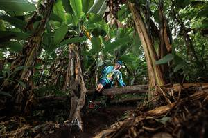 BIB: 
                            <button type="button" onclick="openModal(22392803)" class="btn btn-primary btn-sm float-right btn-popup" data-toggle="modal" data-target=".modal-high-quality">
                        <i class="fas fa-shopping-cart"></i> Add to Cart
                    </button>
                                            <button type="button" onclick="isThisMe(22392803, true)" class="btn btn-success btn-sm float-right btn-popup btn-isme hidden" data-toggle="tooltip" data-placement="bottom" title="นี่คือรูปของคุณใช่ไหม คลิกที่นี่เพื่อเอาเข้าอัลบั้ม">
                        <i class="fas fa-plus"></i> Add to album
                    </button>
                    <button type="button" onclick="isThisMe(22392803, false)" class="btn btn-warning btn-sm float-right btn-popup btn-isnotme hidden">
                        <i class="fas fa-ban"></i> Remove from album
                    </button>