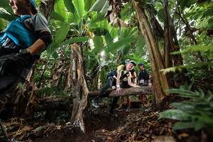 BIB: 
                            <button type="button" onclick="openModal(22395228)" class="btn btn-primary btn-sm float-right btn-popup" data-toggle="modal" data-target=".modal-high-quality">
                        <i class="fas fa-shopping-cart"></i> Add to Cart
                    </button>
                                            <button type="button" onclick="isThisMe(22395228, true)" class="btn btn-success btn-sm float-right btn-popup btn-isme hidden" data-toggle="tooltip" data-placement="bottom" title="นี่คือรูปของคุณใช่ไหม คลิกที่นี่เพื่อเอาเข้าอัลบั้ม">
                        <i class="fas fa-plus"></i> Add to album
                    </button>
                    <button type="button" onclick="isThisMe(22395228, false)" class="btn btn-warning btn-sm float-right btn-popup btn-isnotme hidden">
                        <i class="fas fa-ban"></i> Remove from album
                    </button>