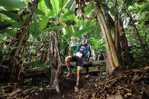 BIB: 6100
                            <button type="button" onclick="openModal(22392904)" class="btn btn-primary btn-sm float-right btn-popup" data-toggle="modal" data-target=".modal-high-quality">
                        <i class="fas fa-shopping-cart"></i> Add to Cart
                    </button>
                                            <button type="button" onclick="isThisMe(22392904, true)" class="btn btn-success btn-sm float-right btn-popup btn-isme hidden" data-toggle="tooltip" data-placement="bottom" title="นี่คือรูปของคุณใช่ไหม คลิกที่นี่เพื่อเอาเข้าอัลบั้ม">
                        <i class="fas fa-plus"></i> Add to album
                    </button>
                    <button type="button" onclick="isThisMe(22392904, false)" class="btn btn-warning btn-sm float-right btn-popup btn-isnotme hidden">
                        <i class="fas fa-ban"></i> Remove from album
                    </button>