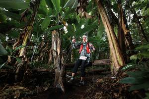 BIB: 
                            <button type="button" onclick="openModal(22420104)" class="btn btn-primary btn-sm float-right btn-popup" data-toggle="modal" data-target=".modal-high-quality">
                        <i class="fas fa-shopping-cart"></i> Add to Cart
                    </button>
                                            <button type="button" onclick="isThisMe(22420104, true)" class="btn btn-success btn-sm float-right btn-popup btn-isme hidden" data-toggle="tooltip" data-placement="bottom" title="นี่คือรูปของคุณใช่ไหม คลิกที่นี่เพื่อเอาเข้าอัลบั้ม">
                        <i class="fas fa-plus"></i> Add to album
                    </button>
                    <button type="button" onclick="isThisMe(22420104, false)" class="btn btn-warning btn-sm float-right btn-popup btn-isnotme hidden">
                        <i class="fas fa-ban"></i> Remove from album
                    </button>