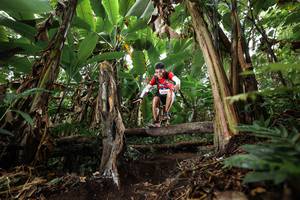 BIB: 000
                            <button type="button" onclick="openModal(22397944)" class="btn btn-primary btn-sm float-right btn-popup" data-toggle="modal" data-target=".modal-high-quality">
                        <i class="fas fa-shopping-cart"></i> Add to Cart
                    </button>
                                            <button type="button" onclick="isThisMe(22397944, true)" class="btn btn-success btn-sm float-right btn-popup btn-isme hidden" data-toggle="tooltip" data-placement="bottom" title="นี่คือรูปของคุณใช่ไหม คลิกที่นี่เพื่อเอาเข้าอัลบั้ม">
                        <i class="fas fa-plus"></i> Add to album
                    </button>
                    <button type="button" onclick="isThisMe(22397944, false)" class="btn btn-warning btn-sm float-right btn-popup btn-isnotme hidden">
                        <i class="fas fa-ban"></i> Remove from album
                    </button>