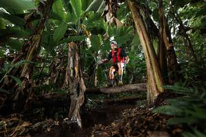 BIB: 
                            <button type="button" onclick="openModal(22393852)" class="btn btn-primary btn-sm float-right btn-popup" data-toggle="modal" data-target=".modal-high-quality">
                        <i class="fas fa-shopping-cart"></i> Add to Cart
                    </button>
                                            <button type="button" onclick="isThisMe(22393852, true)" class="btn btn-success btn-sm float-right btn-popup btn-isme hidden" data-toggle="tooltip" data-placement="bottom" title="นี่คือรูปของคุณใช่ไหม คลิกที่นี่เพื่อเอาเข้าอัลบั้ม">
                        <i class="fas fa-plus"></i> Add to album
                    </button>
                    <button type="button" onclick="isThisMe(22393852, false)" class="btn btn-warning btn-sm float-right btn-popup btn-isnotme hidden">
                        <i class="fas fa-ban"></i> Remove from album
                    </button>