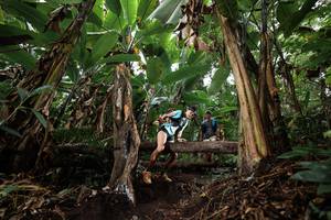 BIB: 
                            <button type="button" onclick="openModal(22417031)" class="btn btn-primary btn-sm float-right btn-popup" data-toggle="modal" data-target=".modal-high-quality">
                        <i class="fas fa-shopping-cart"></i> Add to Cart
                    </button>
                                            <button type="button" onclick="isThisMe(22417031, true)" class="btn btn-success btn-sm float-right btn-popup btn-isme hidden" data-toggle="tooltip" data-placement="bottom" title="นี่คือรูปของคุณใช่ไหม คลิกที่นี่เพื่อเอาเข้าอัลบั้ม">
                        <i class="fas fa-plus"></i> Add to album
                    </button>
                    <button type="button" onclick="isThisMe(22417031, false)" class="btn btn-warning btn-sm float-right btn-popup btn-isnotme hidden">
                        <i class="fas fa-ban"></i> Remove from album
                    </button>