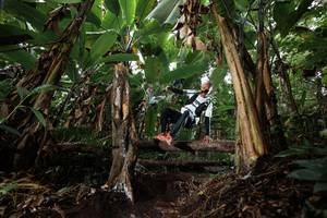 BIB: 
                            <button type="button" onclick="openModal(22417167)" class="btn btn-primary btn-sm float-right btn-popup" data-toggle="modal" data-target=".modal-high-quality">
                        <i class="fas fa-shopping-cart"></i> Add to Cart
                    </button>
                                            <button type="button" onclick="isThisMe(22417167, true)" class="btn btn-success btn-sm float-right btn-popup btn-isme hidden" data-toggle="tooltip" data-placement="bottom" title="นี่คือรูปของคุณใช่ไหม คลิกที่นี่เพื่อเอาเข้าอัลบั้ม">
                        <i class="fas fa-plus"></i> Add to album
                    </button>
                    <button type="button" onclick="isThisMe(22417167, false)" class="btn btn-warning btn-sm float-right btn-popup btn-isnotme hidden">
                        <i class="fas fa-ban"></i> Remove from album
                    </button>