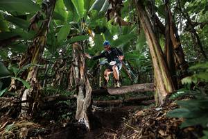 BIB: 
                            <button type="button" onclick="openModal(22420770)" class="btn btn-primary btn-sm float-right btn-popup" data-toggle="modal" data-target=".modal-high-quality">
                        <i class="fas fa-shopping-cart"></i> Add to Cart
                    </button>
                                            <button type="button" onclick="isThisMe(22420770, true)" class="btn btn-success btn-sm float-right btn-popup btn-isme hidden" data-toggle="tooltip" data-placement="bottom" title="นี่คือรูปของคุณใช่ไหม คลิกที่นี่เพื่อเอาเข้าอัลบั้ม">
                        <i class="fas fa-plus"></i> Add to album
                    </button>
                    <button type="button" onclick="isThisMe(22420770, false)" class="btn btn-warning btn-sm float-right btn-popup btn-isnotme hidden">
                        <i class="fas fa-ban"></i> Remove from album
                    </button>