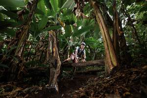 BIB: 
                            <button type="button" onclick="openModal(22393049)" class="btn btn-primary btn-sm float-right btn-popup" data-toggle="modal" data-target=".modal-high-quality">
                        <i class="fas fa-shopping-cart"></i> Add to Cart
                    </button>
                                            <button type="button" onclick="isThisMe(22393049, true)" class="btn btn-success btn-sm float-right btn-popup btn-isme hidden" data-toggle="tooltip" data-placement="bottom" title="นี่คือรูปของคุณใช่ไหม คลิกที่นี่เพื่อเอาเข้าอัลบั้ม">
                        <i class="fas fa-plus"></i> Add to album
                    </button>
                    <button type="button" onclick="isThisMe(22393049, false)" class="btn btn-warning btn-sm float-right btn-popup btn-isnotme hidden">
                        <i class="fas fa-ban"></i> Remove from album
                    </button>