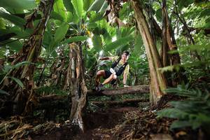 BIB: 
                            <button type="button" onclick="openModal(22398463)" class="btn btn-primary btn-sm float-right btn-popup" data-toggle="modal" data-target=".modal-high-quality">
                        <i class="fas fa-shopping-cart"></i> Add to Cart
                    </button>
                                            <button type="button" onclick="isThisMe(22398463, true)" class="btn btn-success btn-sm float-right btn-popup btn-isme hidden" data-toggle="tooltip" data-placement="bottom" title="นี่คือรูปของคุณใช่ไหม คลิกที่นี่เพื่อเอาเข้าอัลบั้ม">
                        <i class="fas fa-plus"></i> Add to album
                    </button>
                    <button type="button" onclick="isThisMe(22398463, false)" class="btn btn-warning btn-sm float-right btn-popup btn-isnotme hidden">
                        <i class="fas fa-ban"></i> Remove from album
                    </button>