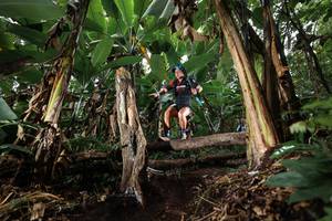 BIB: 
                            <button type="button" onclick="openModal(22421217)" class="btn btn-primary btn-sm float-right btn-popup" data-toggle="modal" data-target=".modal-high-quality">
                        <i class="fas fa-shopping-cart"></i> Add to Cart
                    </button>
                                            <button type="button" onclick="isThisMe(22421217, true)" class="btn btn-success btn-sm float-right btn-popup btn-isme hidden" data-toggle="tooltip" data-placement="bottom" title="นี่คือรูปของคุณใช่ไหม คลิกที่นี่เพื่อเอาเข้าอัลบั้ม">
                        <i class="fas fa-plus"></i> Add to album
                    </button>
                    <button type="button" onclick="isThisMe(22421217, false)" class="btn btn-warning btn-sm float-right btn-popup btn-isnotme hidden">
                        <i class="fas fa-ban"></i> Remove from album
                    </button>