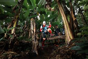 BIB: 
                            <button type="button" onclick="openModal(22419659)" class="btn btn-primary btn-sm float-right btn-popup" data-toggle="modal" data-target=".modal-high-quality">
                        <i class="fas fa-shopping-cart"></i> Add to Cart
                    </button>
                                            <button type="button" onclick="isThisMe(22419659, true)" class="btn btn-success btn-sm float-right btn-popup btn-isme hidden" data-toggle="tooltip" data-placement="bottom" title="นี่คือรูปของคุณใช่ไหม คลิกที่นี่เพื่อเอาเข้าอัลบั้ม">
                        <i class="fas fa-plus"></i> Add to album
                    </button>
                    <button type="button" onclick="isThisMe(22419659, false)" class="btn btn-warning btn-sm float-right btn-popup btn-isnotme hidden">
                        <i class="fas fa-ban"></i> Remove from album
                    </button>